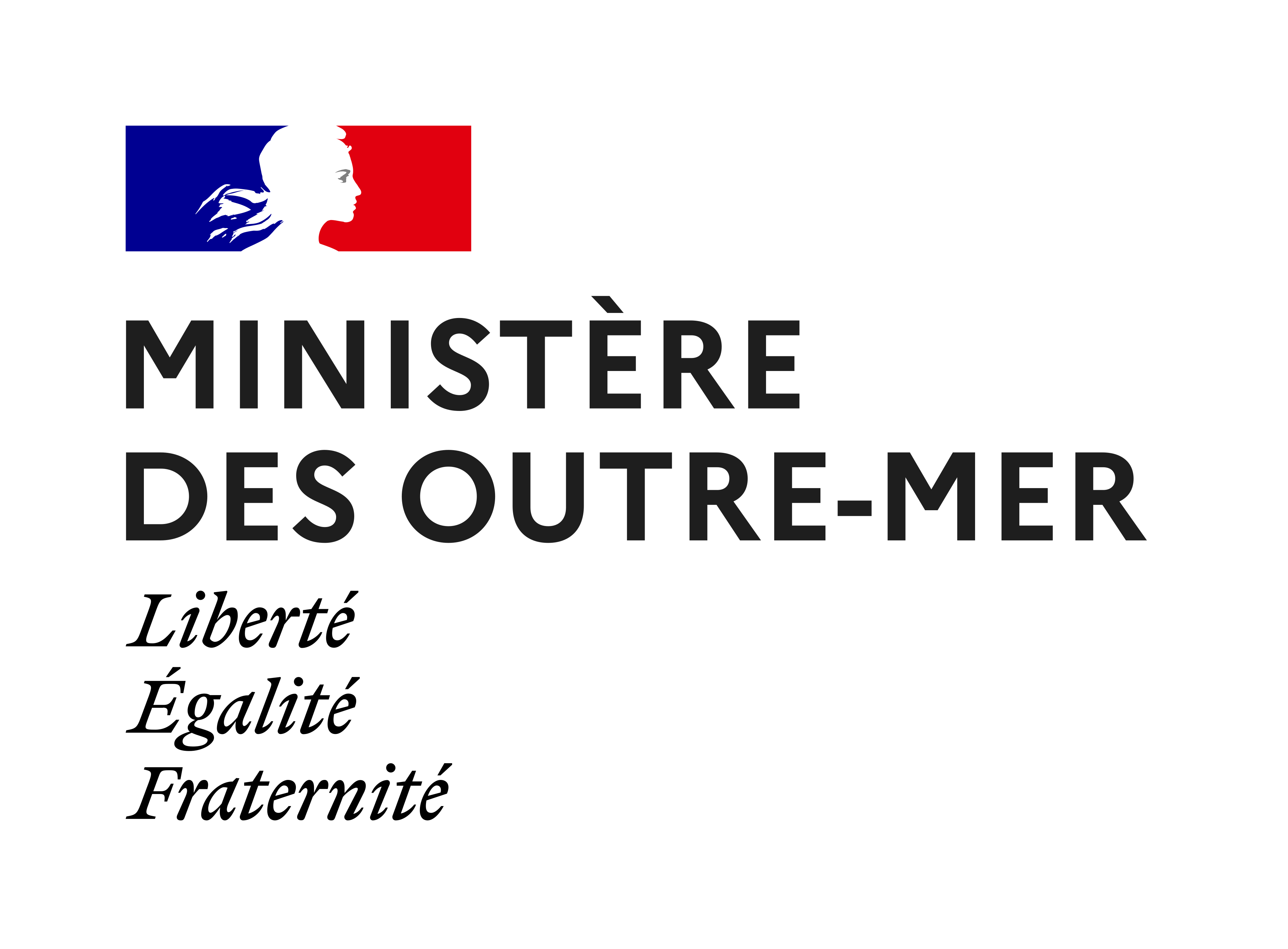 Logo Direction Générale de l'Outre-Mer