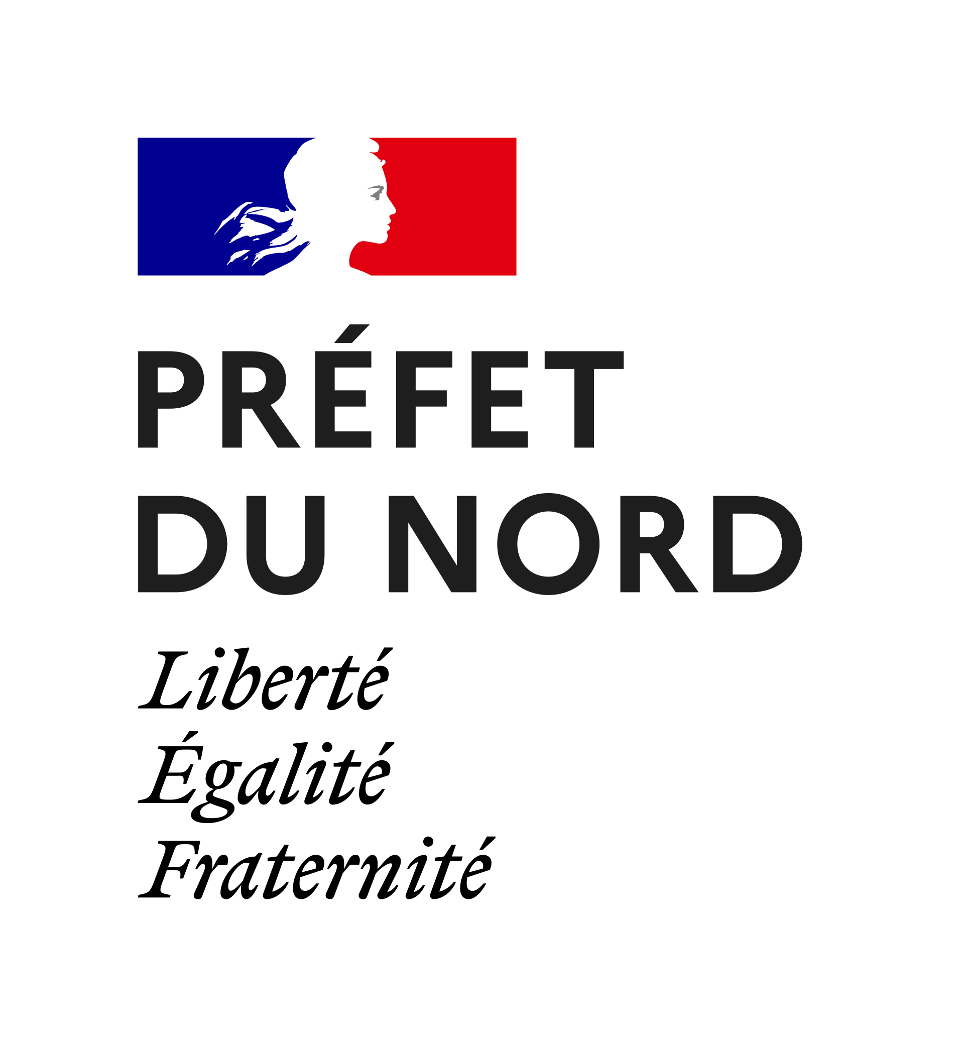 Logo DDETS du Nord