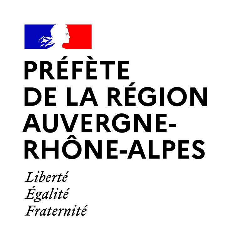 Logo DREETS Auvergne-Rhône-Alpes